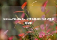 COD16近战自动攻击，实战新体验与击杀动作策略解析
