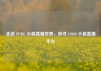 走进 PUBG 小晨直播世界，探寻 CSGO 小晨直播平台