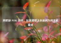 网吧缺 PUBG 游戏，玩家遗憾之余追问为何无此模式