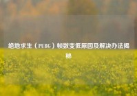 绝地求生（PUBG）帧数变低原因及解决办法揭秘
