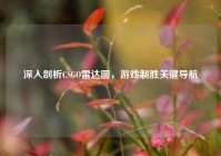 深入剖析CSGO雷达图，游戏制胜关键导航