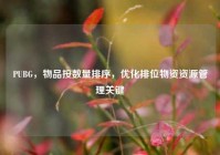 PUBG，物品按数量排序，优化排位物资资源管理关键