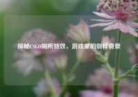 探秘CSGO厕所特效，游戏里的别样奇景