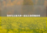 如何与王者大神一起玩王者荣耀游戏