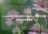 Steam2023年全球收入破百亿美元，PC游戏生态增长密码与未来变局