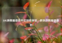 LOL换韩服语音开启别样体验，教你改韩服语音包