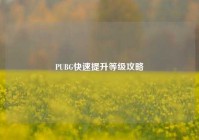 PUBG快速提升等级攻略