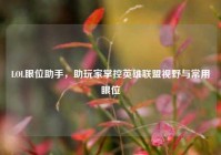 LOL眼位助手，助玩家掌控英雄联盟视野与常用眼位