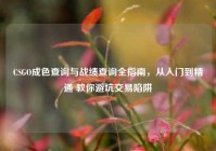 CSGO成色查询与战绩查询全指南，从入门到精通 教你避坑交易陷阱