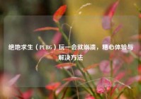 绝地求生（PUBG）玩一会就崩溃，糟心体验与解决方法