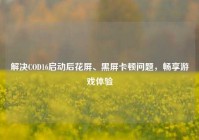 解决COD16启动后花屏、黑屏卡顿问题，畅享游戏体验
