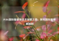 PUBG国际服最强选手加冕之路，探究国际服所属国别