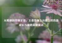 从青铜到荣耀王者，王者荣耀上分路上的热血成长与最稳英雄盘点