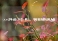 CSGO女子战队奈奈nv战队，闪耀赛场的明星力量