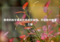 奇奇的和平精英吃鸡游戏视频，开启和平精英之旅