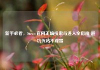 新手必看，Steam官网正确搜索与进入全指南 避坑假站不踩雷