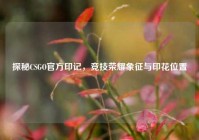 探秘CSGO官方印记，竞技荣耀象征与印花位置