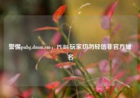 警惕pubg.dmm.cm，PUBG玩家切勿轻信非官方域名
