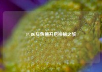 PUBG灰色熊开启神秘之旅