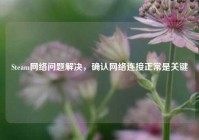 Steam网络问题解决，确认网络连接正常是关键
