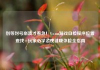 别等封号崩溃才着急！Steam游戏自检程序位置查找+玩家必学游戏健康体检全指南