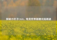 探秘小叶子CSGO，电竞世界新曙光陆雨涵