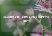 PUBG手机验证器，游戏安全密钥及验证失败原因探究