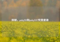 探秘，pubg233和pubg1337究竟是谁