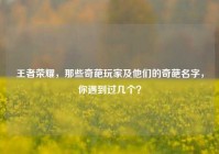 王者荣耀，那些奇葩玩家及他们的奇葩名字，你遇到过几个？