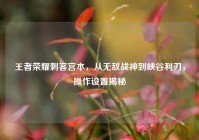 王者荣耀刺客宫本，从无敌战神到峡谷利刃，操作设置揭秘