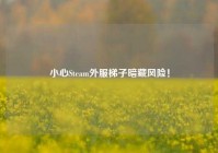 小心Steam外服梯子暗藏风险！