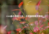 CSGO最小地图大全，小地图里藏大精彩