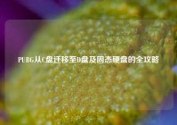 PUBG从C盘迁移至D盘及固态硬盘的全攻略