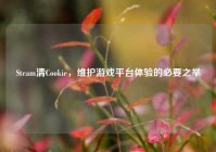 Steam清Cookie，维护游戏平台体验的必要之举