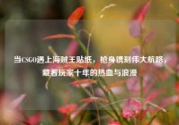 当CSGO遇上海贼王贴纸，枪身镌刻伟大航路，藏着玩家十年的热血与浪漫