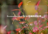 PersistentMatchMode与CSGO宏编程的运用