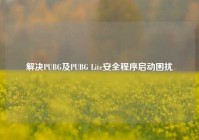 解决PUBG及PUBG Lite安全程序启动困扰