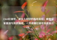 CSGO红锁号，被永久封印的账号背后，藏着玩家血泪与灰色陷阱，一文读懂红锁号到底是什么