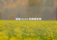 探秘 DX12CF 的神秘世界