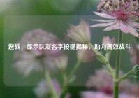 逆战，显示队友名字按键揭秘，助力高效战斗