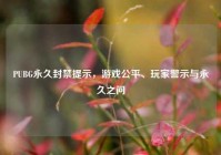 PUBG永久封禁提示，游戏公平、玩家警示与永久之问