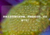 探秘王者荣耀白夜梦魇，神秘惊险交织，该在哪个区？