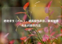 绝地求生（PUBG），调高脚步声音，掌握制胜先机的调节方法