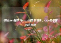 探秘CSGO箱子与Gocase的奇妙世界，CSGO箱子背后的奥秘