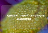 CSGO龙狙全解析，外观细节、正式名称与天价神枪背后的故事