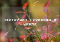 CF手游王者之风测试，开启全新竞技体验，揭秘获取方式