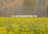PUBG动作滚轮菜单位置介绍