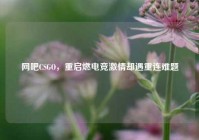网吧CSGO，重启燃电竞激情却遇重连难题
