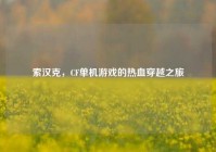 索汉克，CF单机游戏的热血穿越之旅