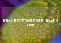 春节PUBG是否打折引玩家期待猜测，附2023打折时间表